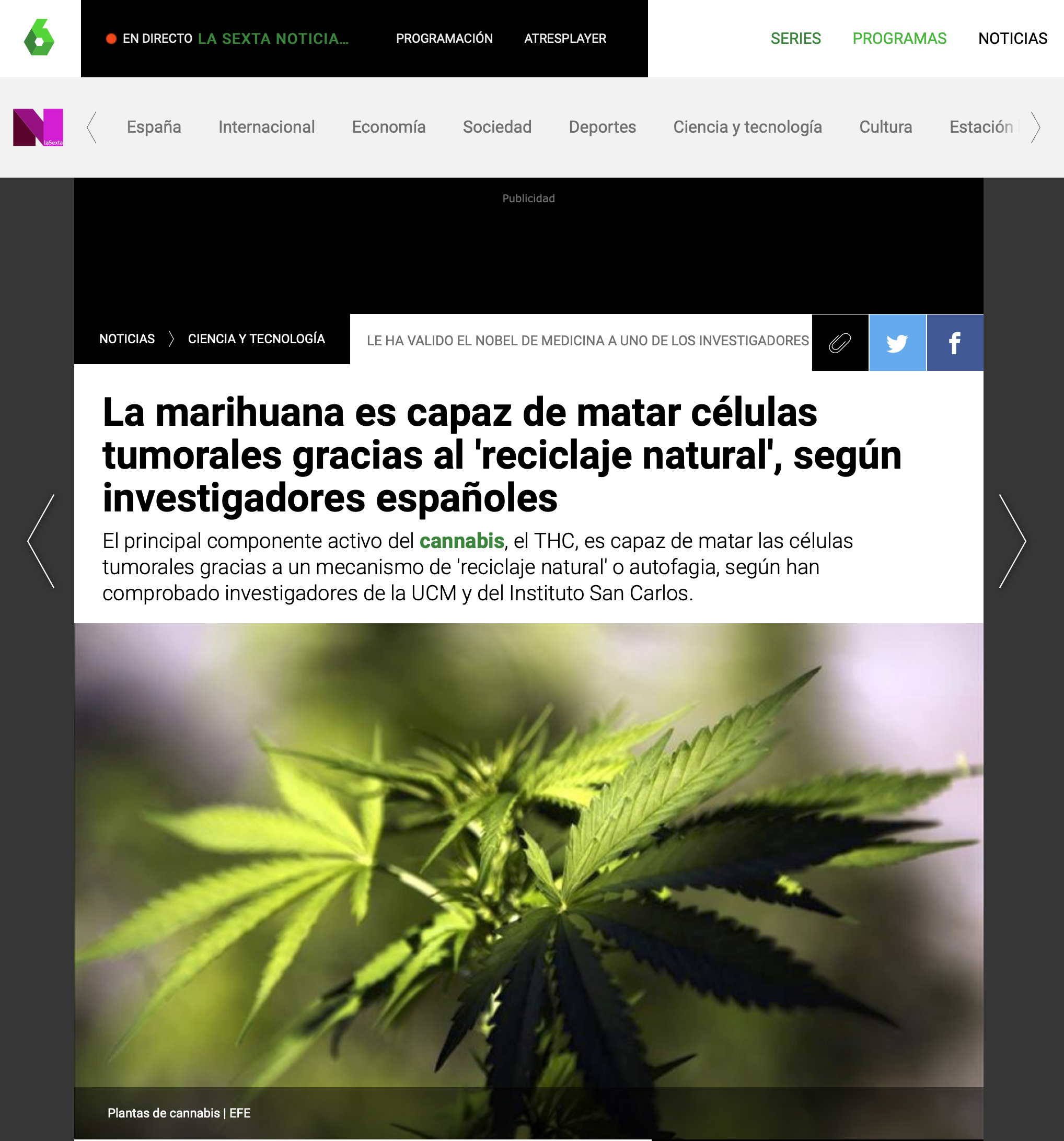 La marihuana es capaz de matar células tumorales gracias al 'reciclaje natural', según investigadores españoles