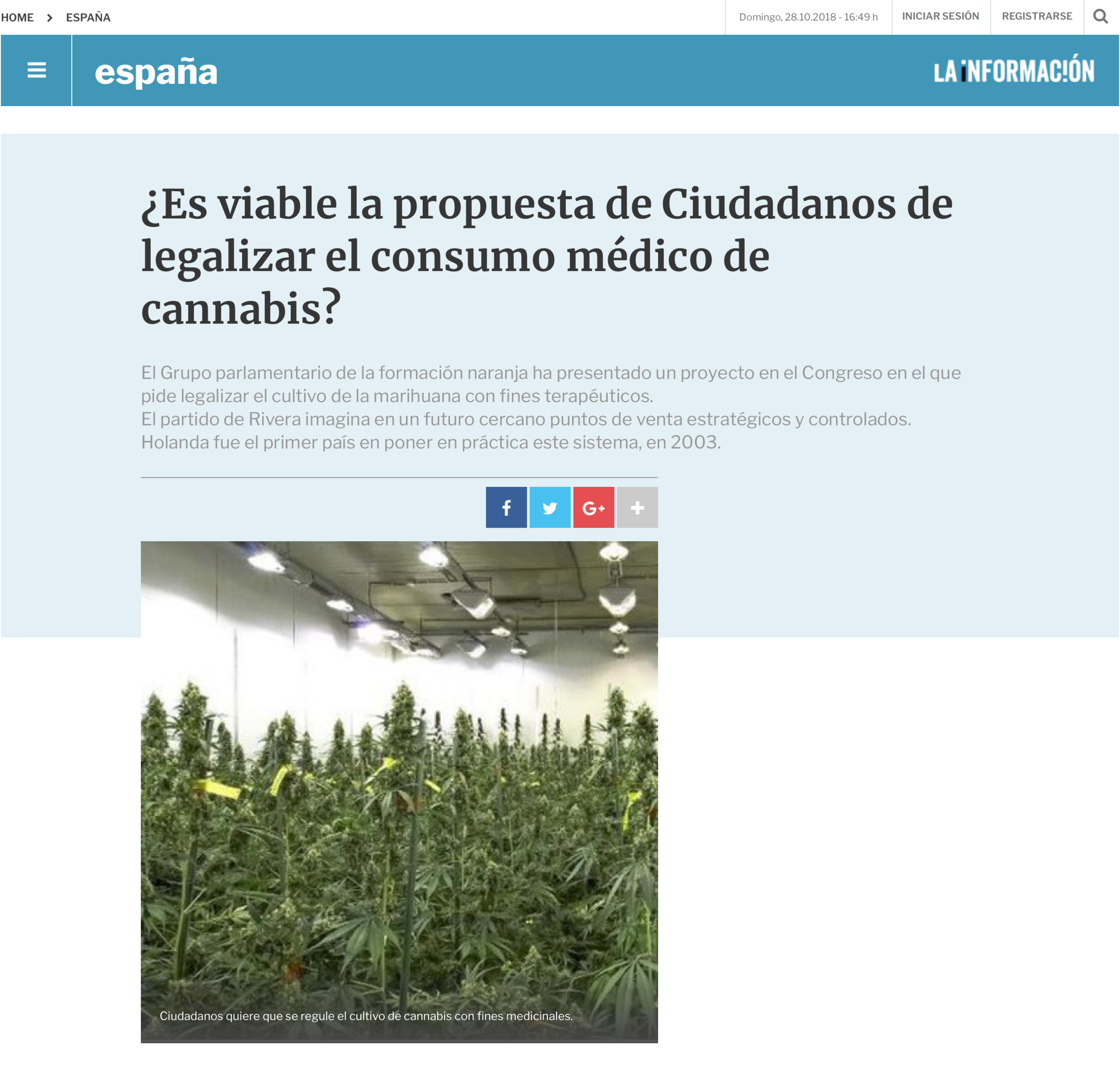 ¿Es viable la propuesta de Ciudadanos de legalizar el consumo médico de cannabis?