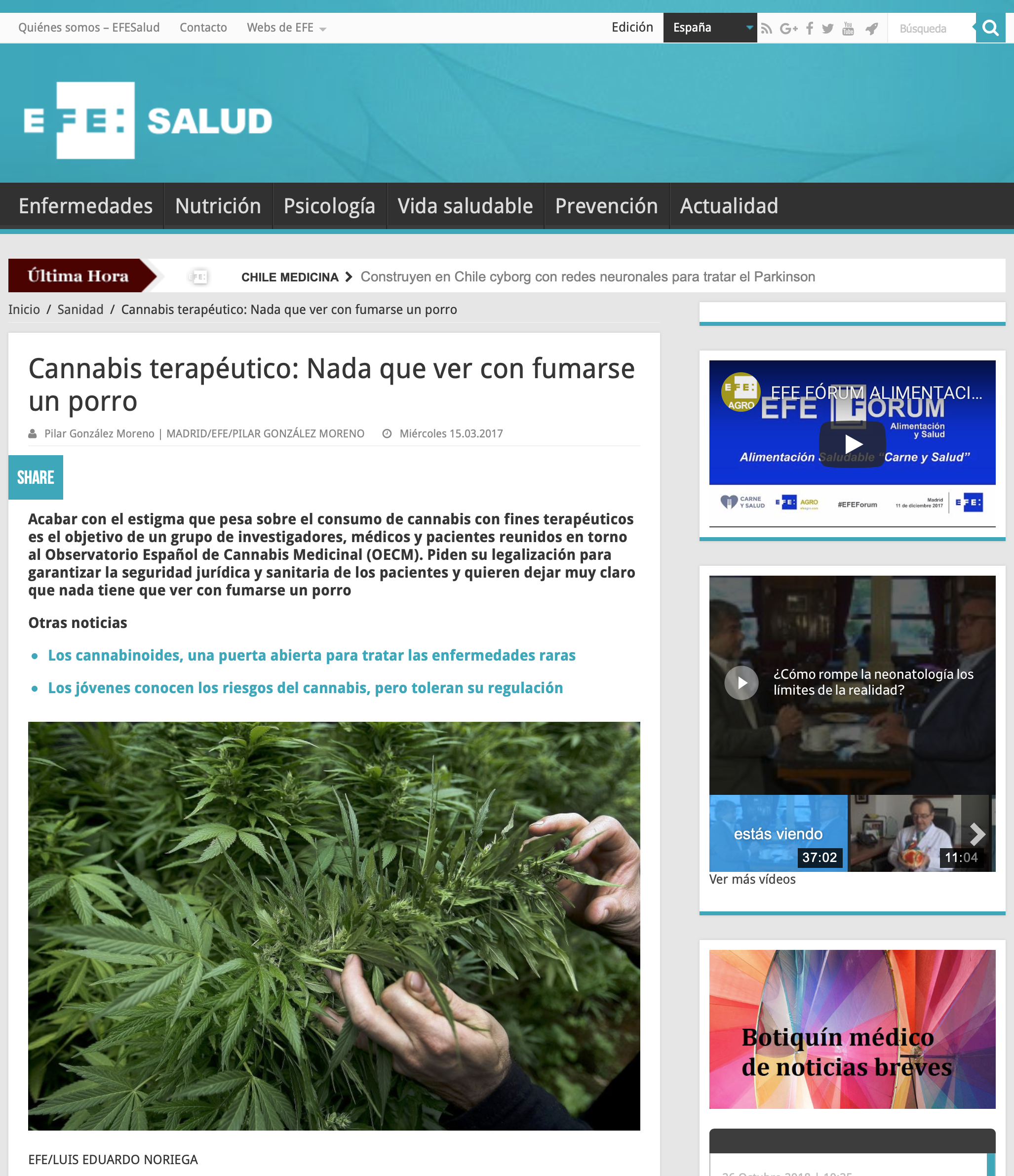 “Cannabis terapéutico: Nada que ver con fumarse un porro”