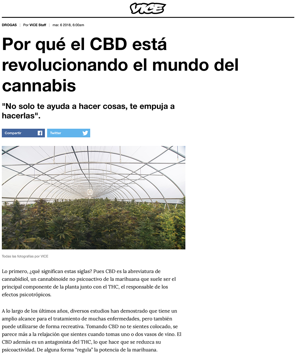 Por qué el CBD está revolucionando el mundo del cannabis