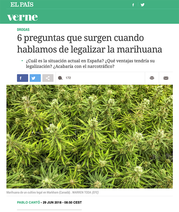 6 preguntas que surgen cuando hablamos de legalizar la marihuana