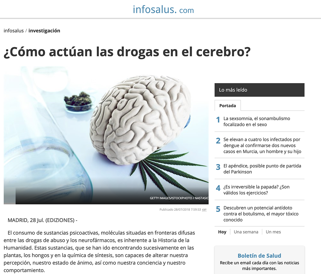 ¿Cómo actúan las drogas en el cerebro?