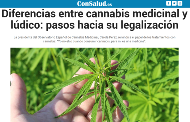 Diferencias entre cannabis medicinal y lúdico: pasos hacia su legalización
