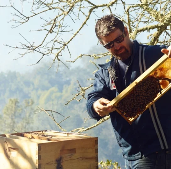 Darwin'sBeekeeper_Thumbnail.jpg