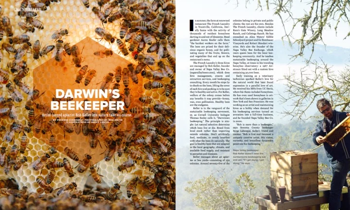 Darwin'sBeekeeper_1.jpg