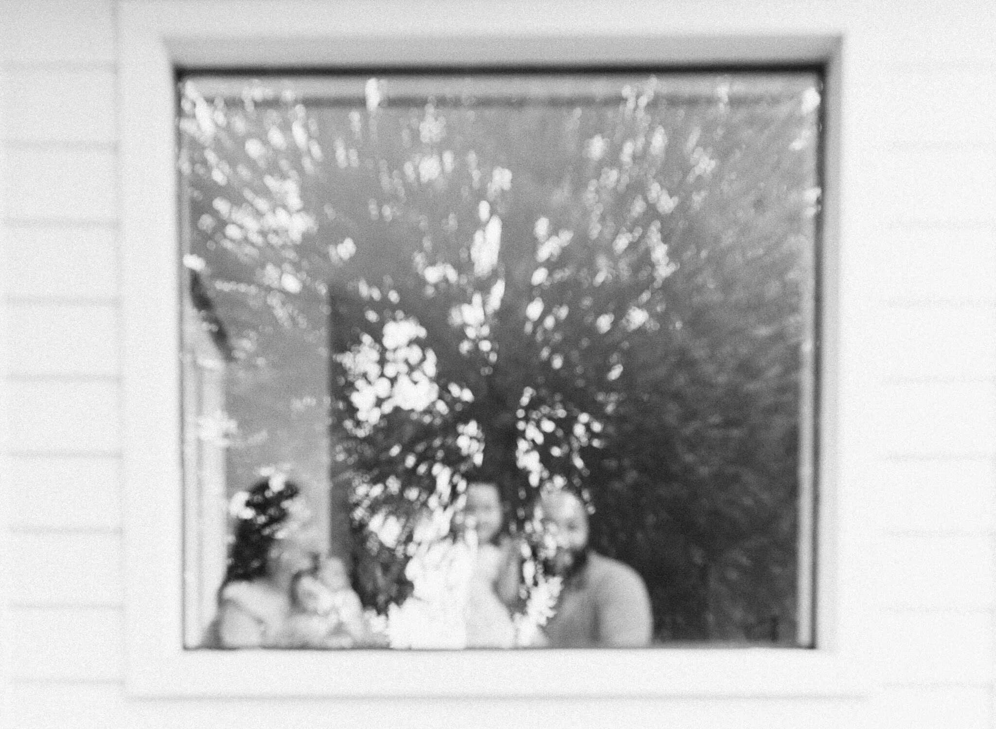 family looking out a window with a tree reflection