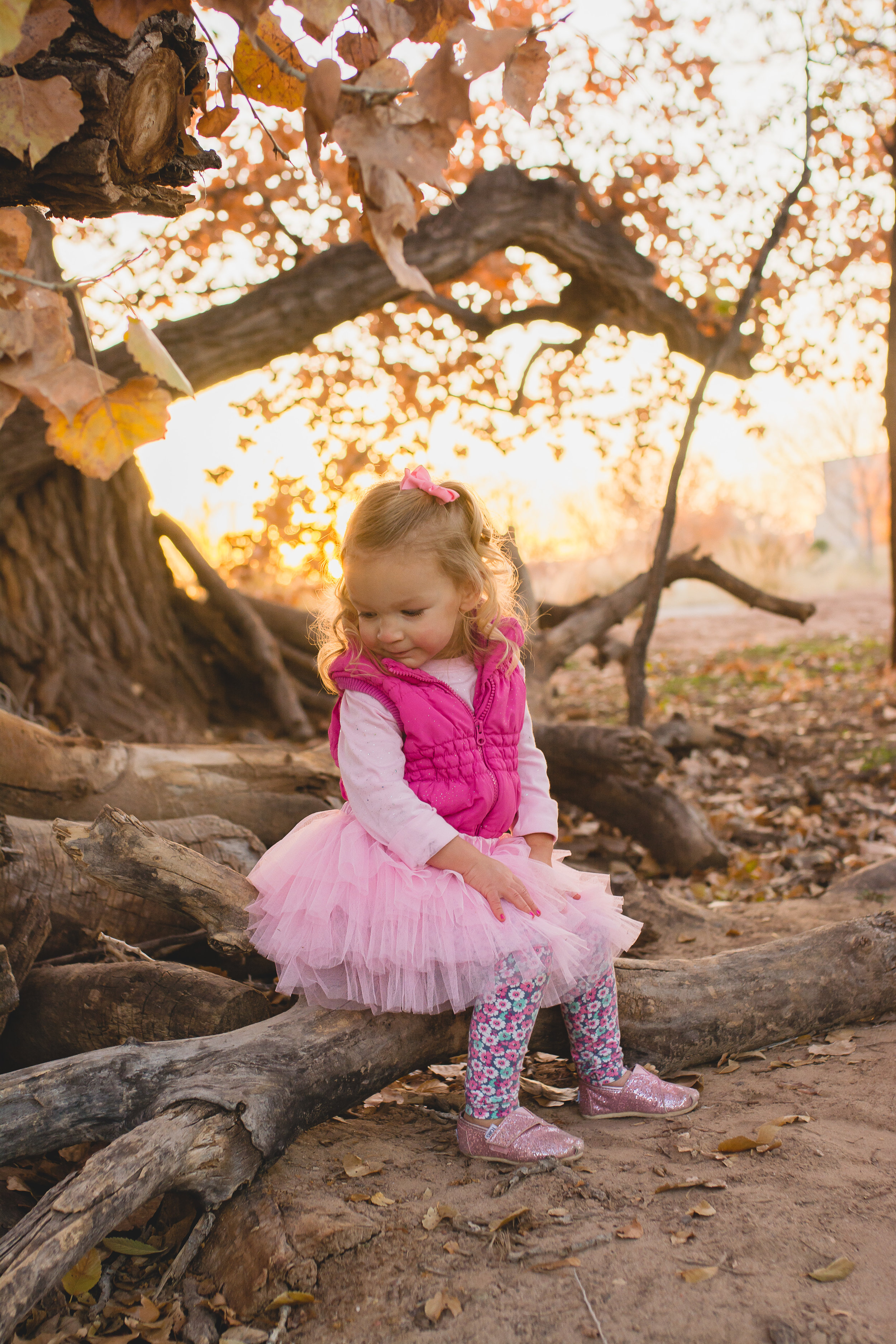 Little girl in pink tutu sitting on log at Alameda Open Space, Albuquerque