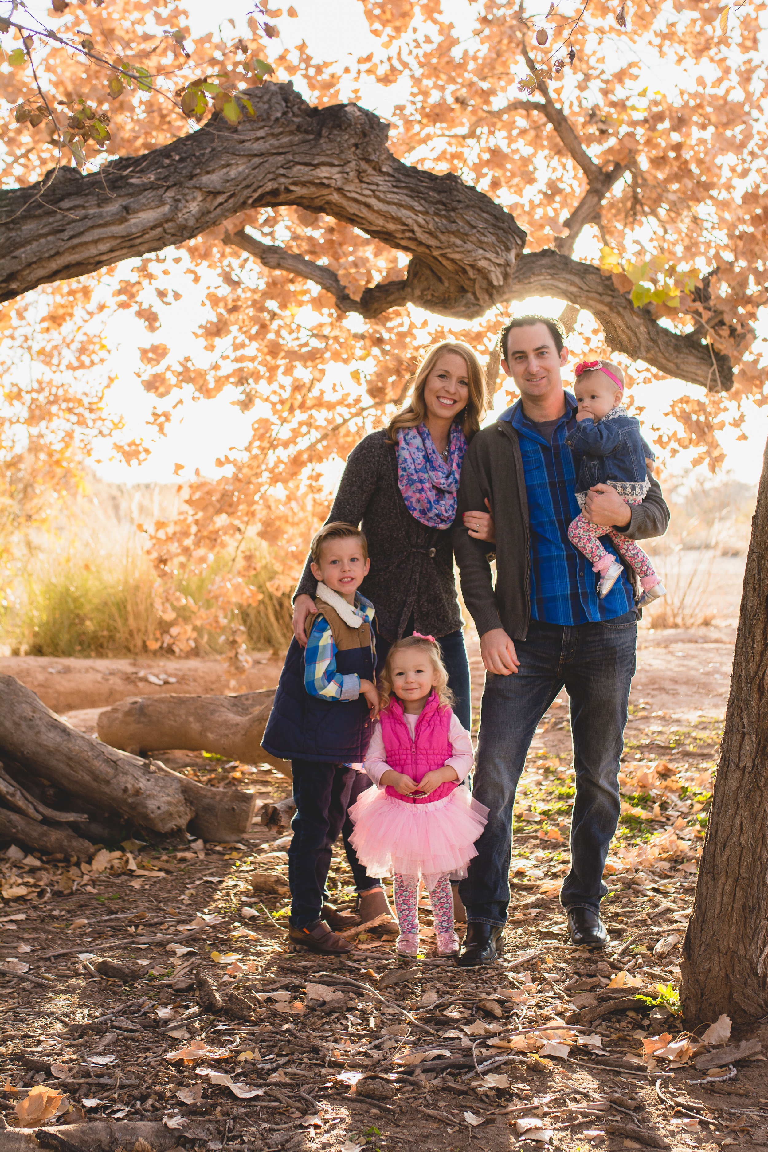 Family with young kids posing under autumn tree at Alameda Open Space family photo location, Albuquerque