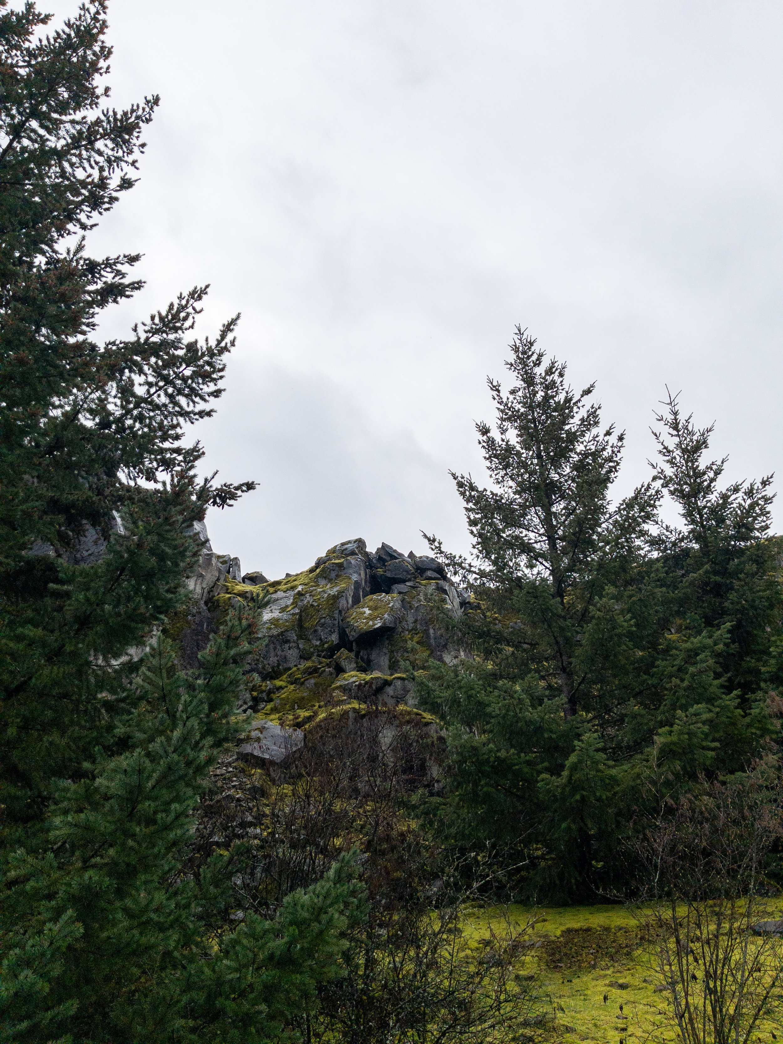 Trees and rocky landscape at Government Cove Peninsula in the Pacific Northwest
