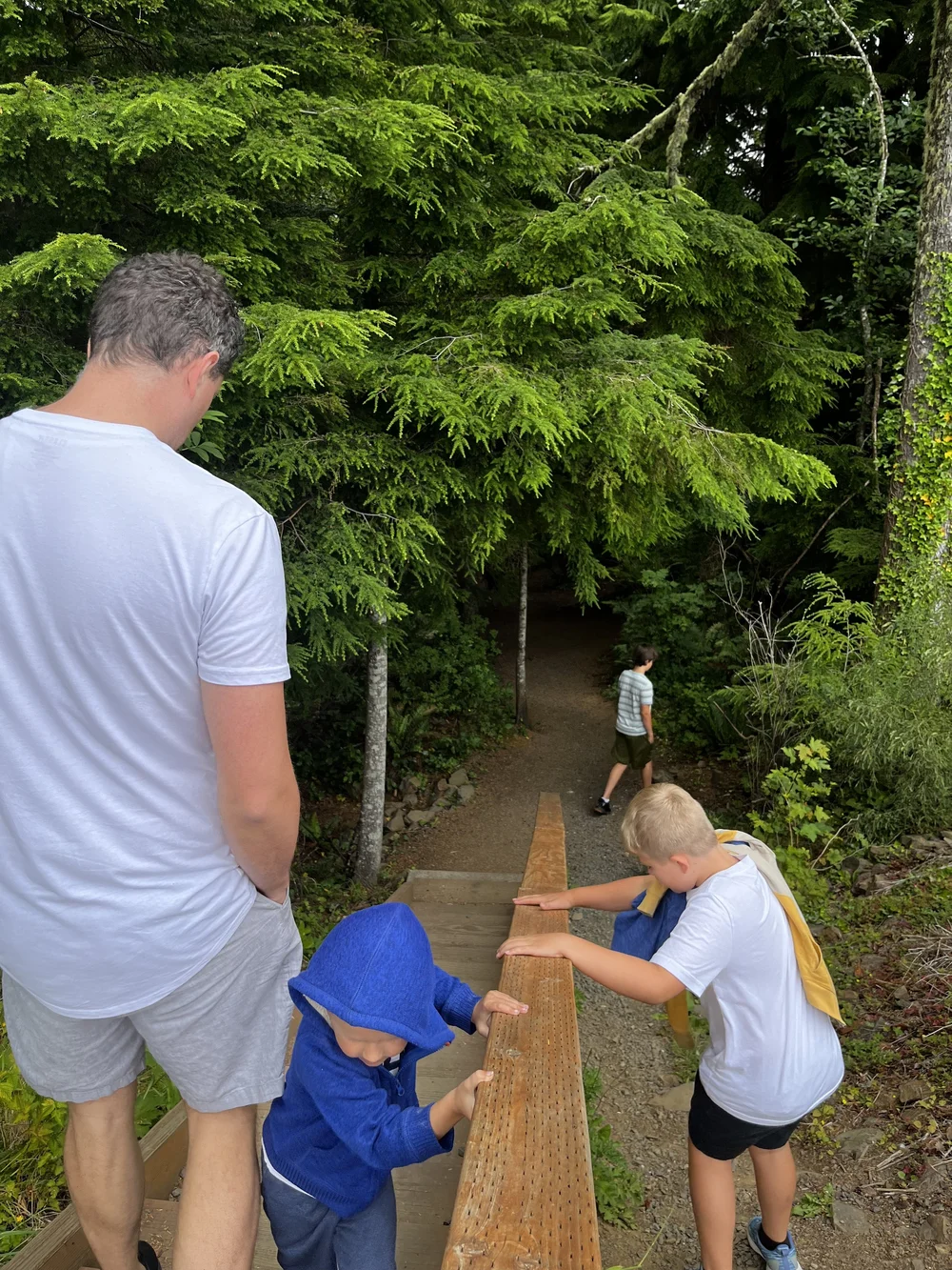 Beginning of the Cathedral Tree Trail from the Astoria Column