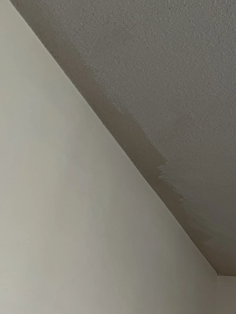 The yellow/brown ceiling we didn't plan on having to paint