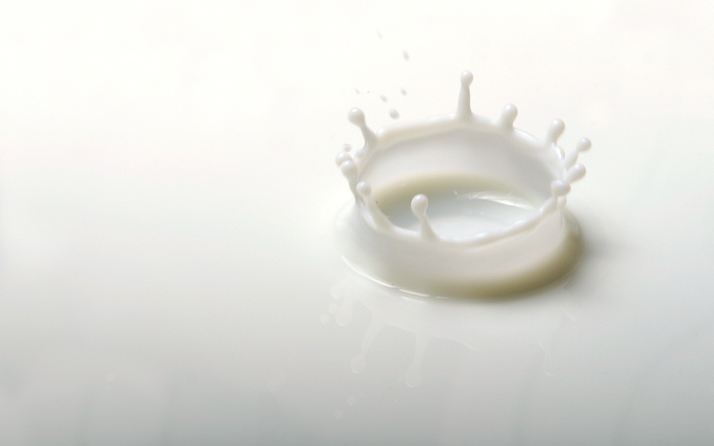 milk-lge.jpg