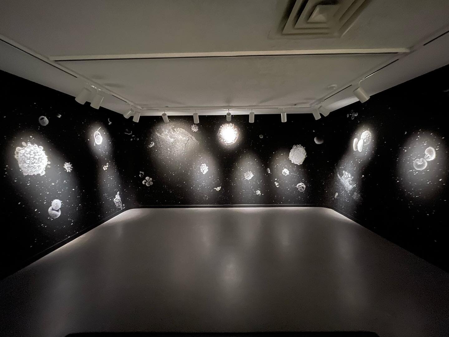 Sometimes my work is hiding in plain sight! I recently framed and dry walled in a small section of wall and built rounded corners to allow for the seamless installation of this large artwork. I&rsquo;m often approached by galleries with this sort of 