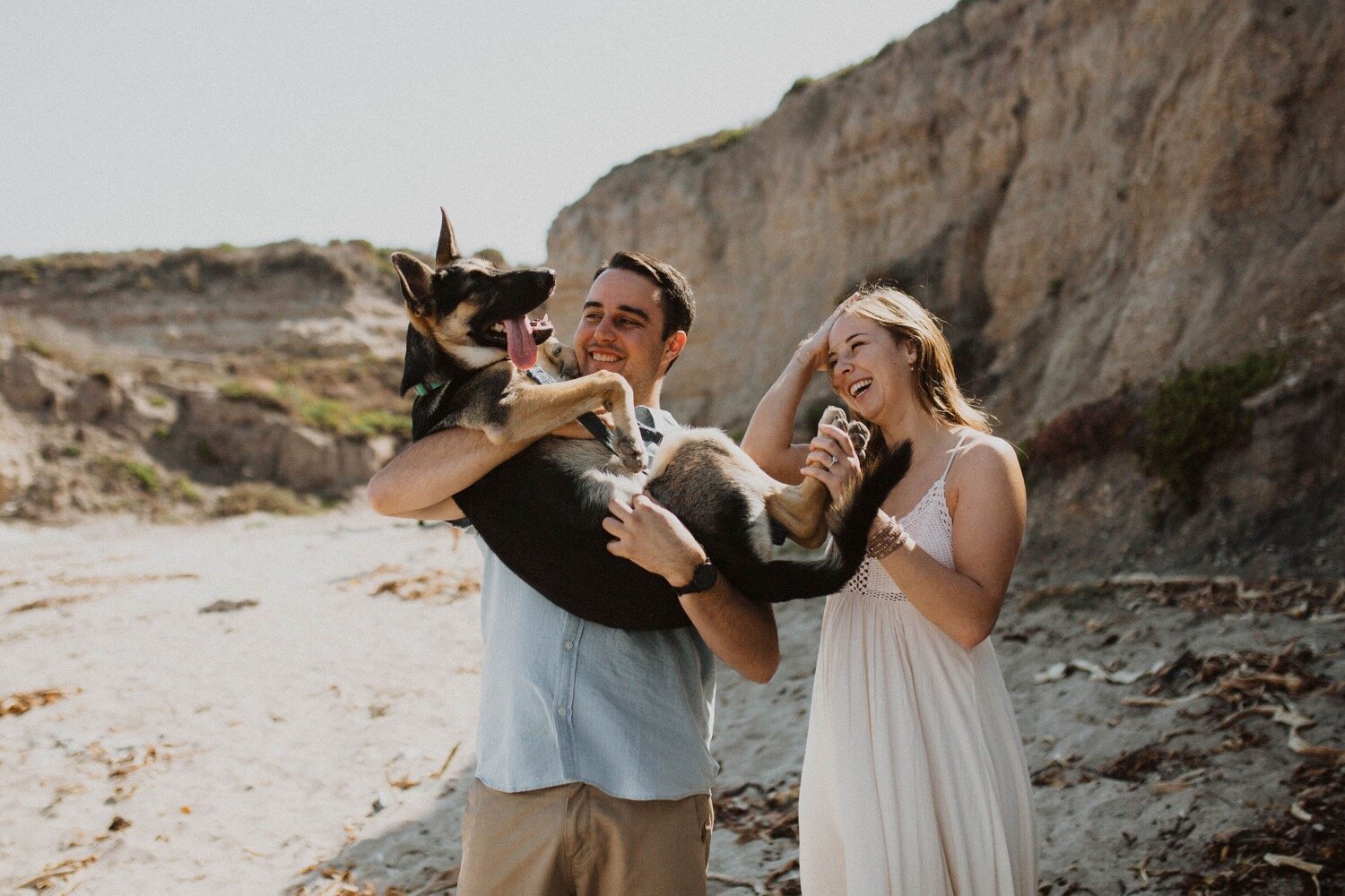 german shepherd puppy has fun during her parents' montana de oro engagement session. slo proposal photographer