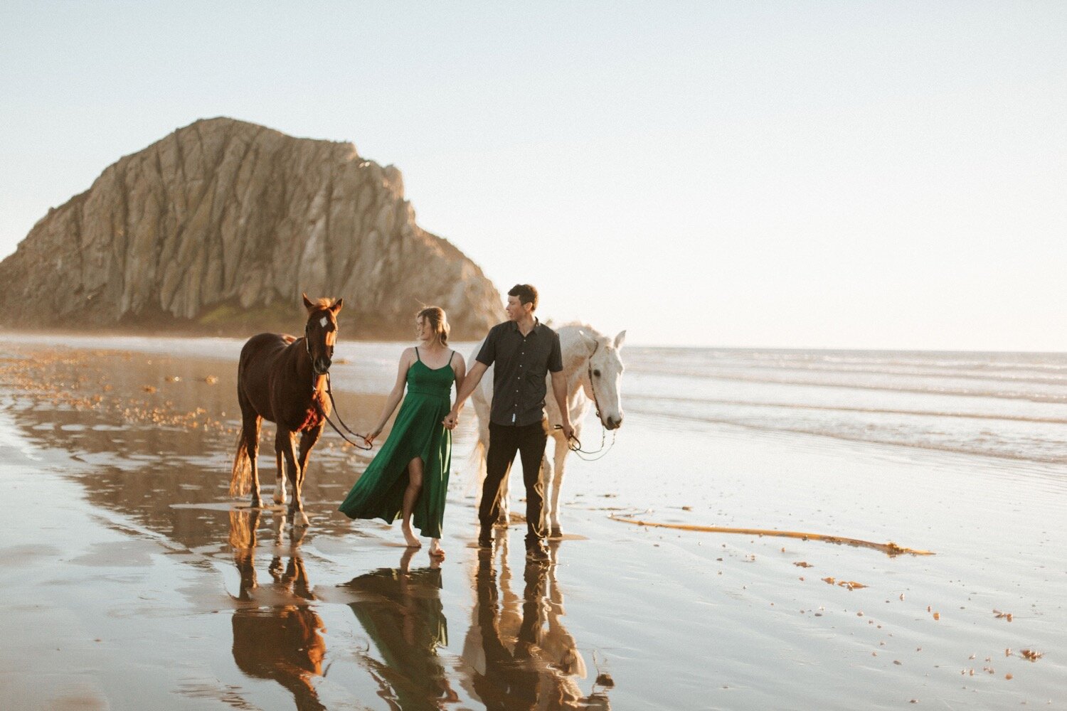 couple walks on the beach in morro bay with their horses, during their engagement photoshoot. san luis obispo wedding photography by poppy and vine