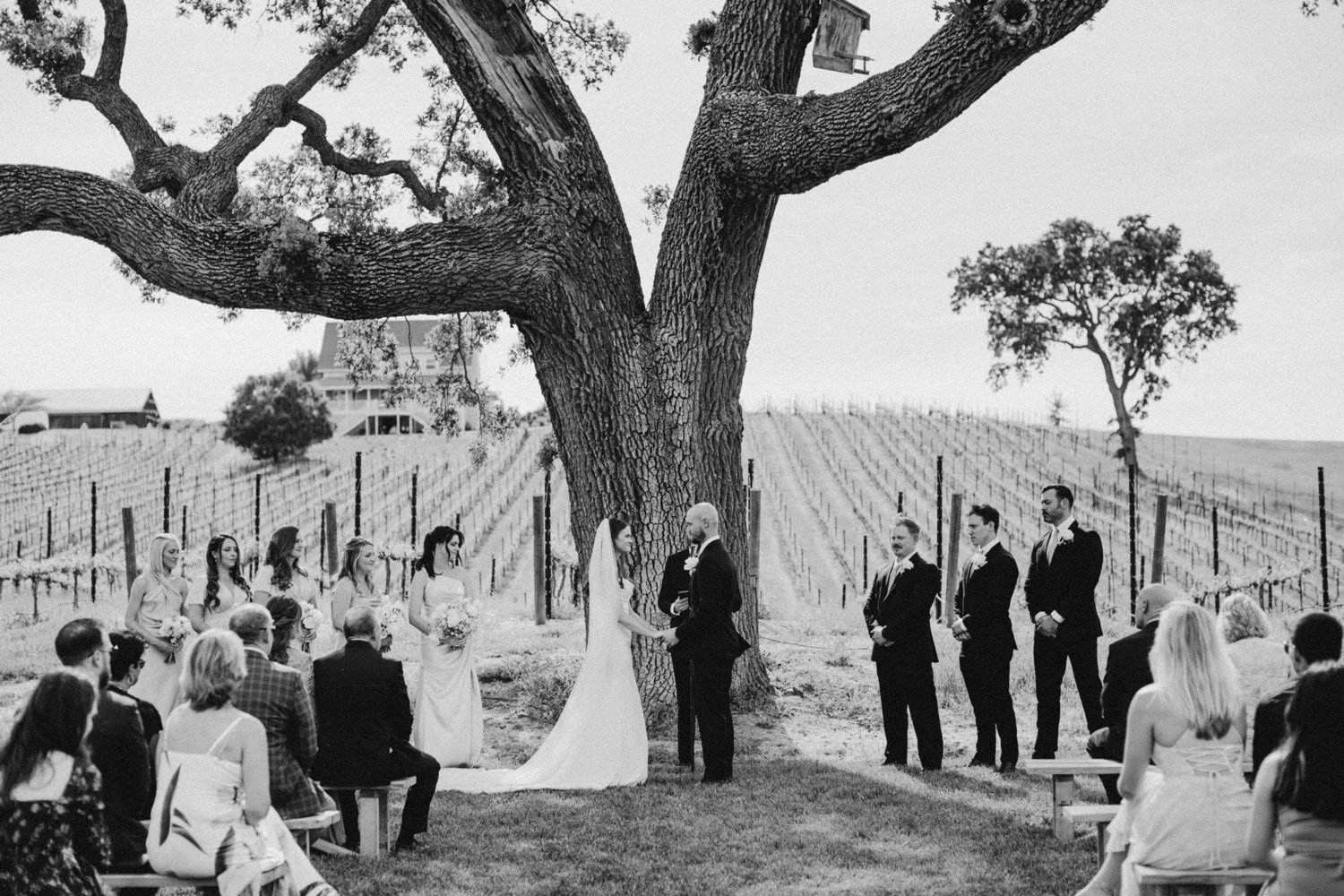 ellas vineyard paso robles wedding phoenix wedding photographer poppy and vine (1).jpg