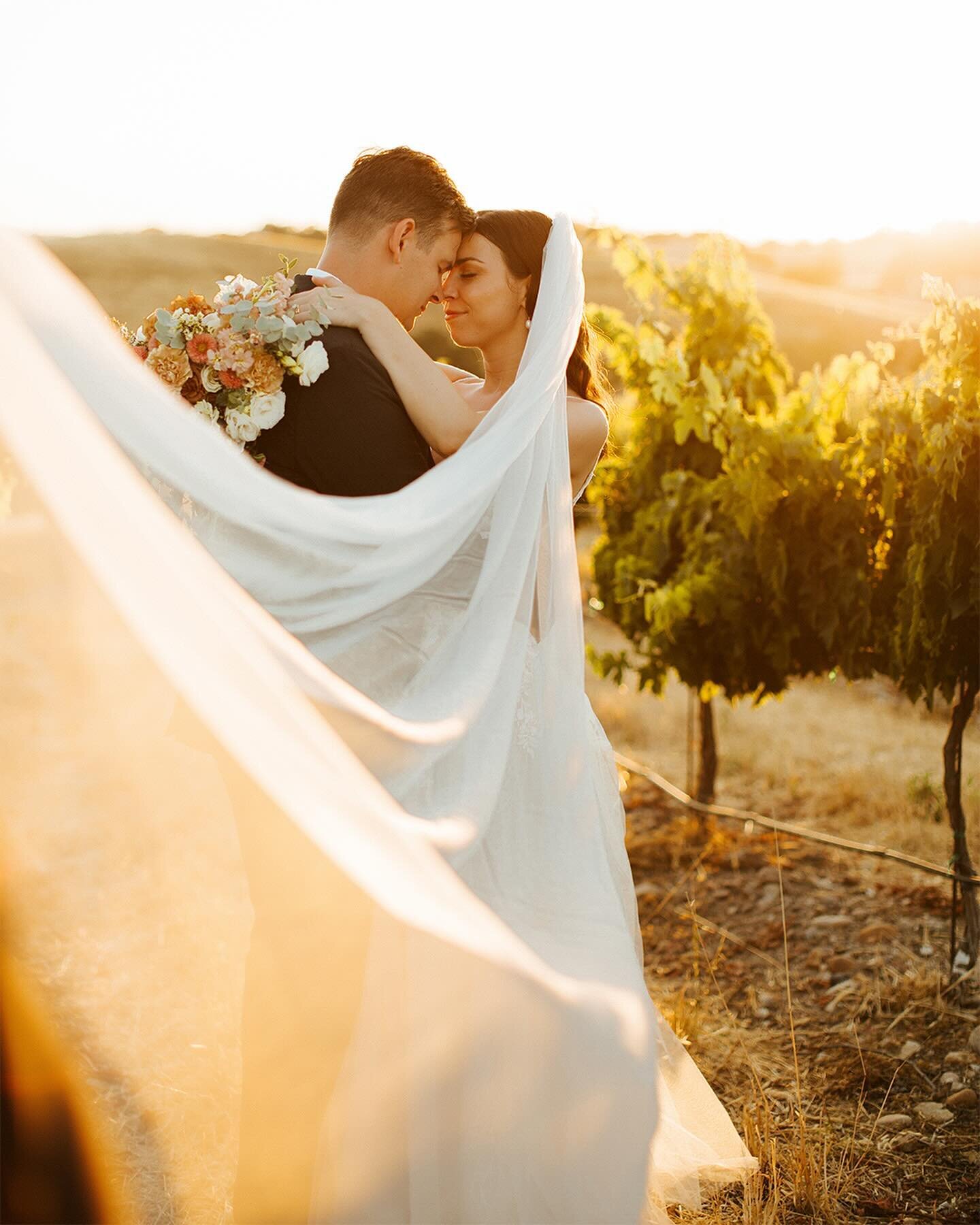 Jess &amp; Ben, WE MISS YOU 🥹🥹🥹🥹

.
.
.
.
.
.
Ella&rsquo;s vineyard wedding, Paso Robles wedding, San Luis Obispo wedding photographer, vineyard wedding, summer wedding, Arizona elopement photographer, phoenix wedding photographer, documentary we