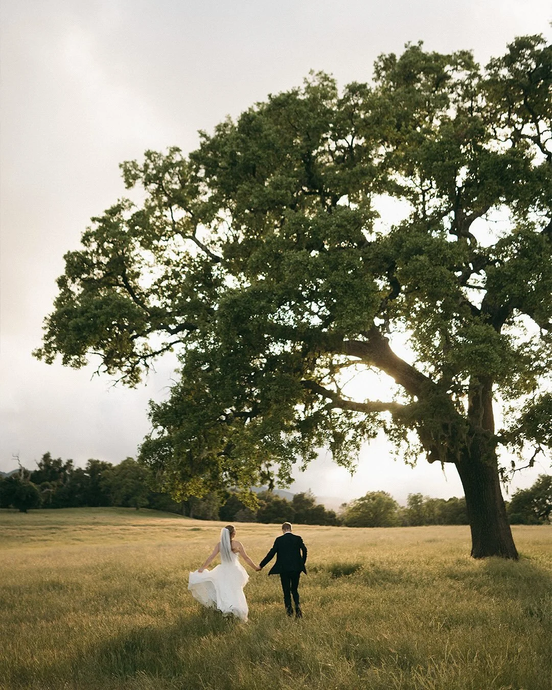 I dream of days that are full of this much joy and intention. From start to finish this one somehow felt like one big hug, with Megan and Avery surrounded by warmth and love that simply radiated. Riata Ranch’s greenhouse truly makes the perfect