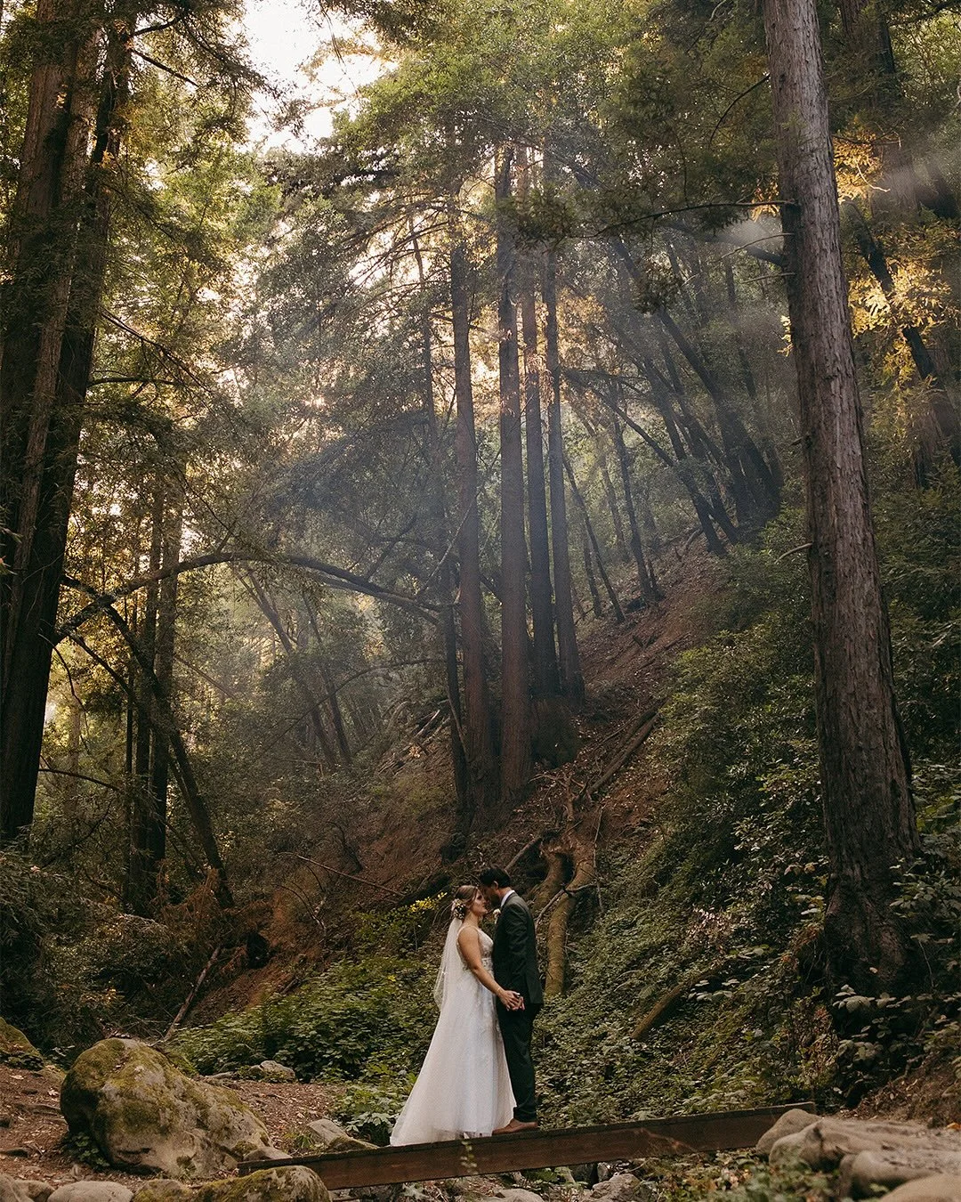 Looking back on this year and noting just how cool it is that we got to document so many of our oldest friends&rsquo; wedding days 🥹

Here is a mini highlight reel from Jake &amp; Abby&rsquo;s, at Saratoga Springs, nestled in the Northern California