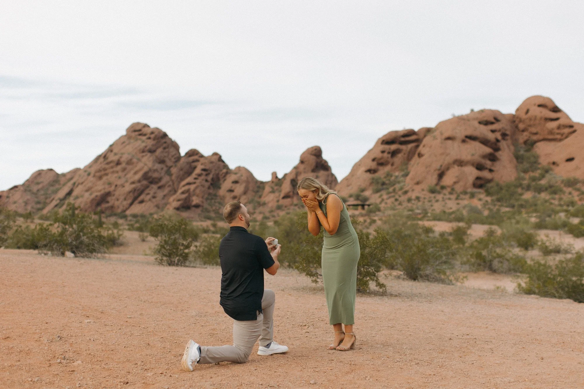 Proposal Season in Phoenix, AZ