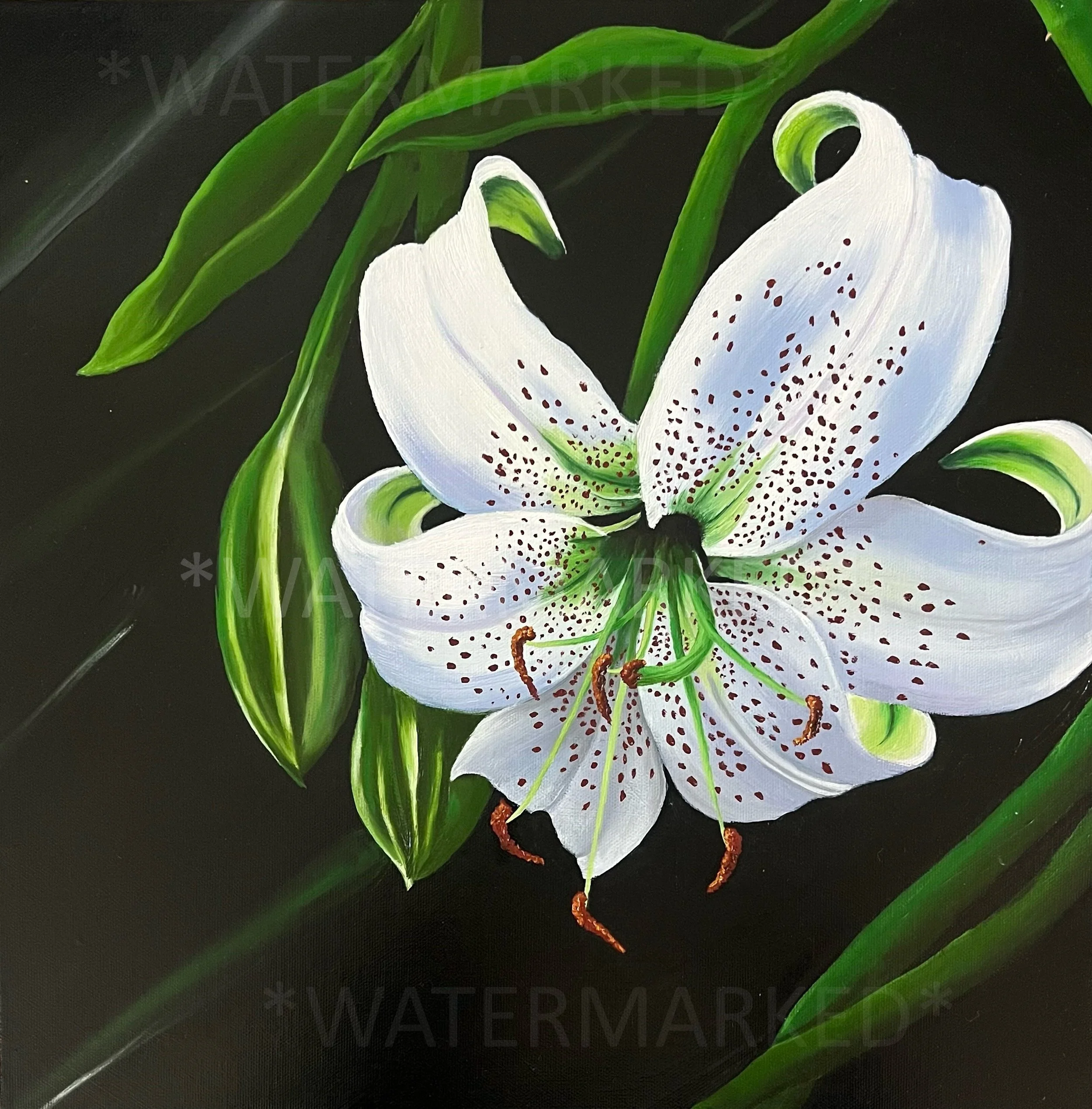 White Lily