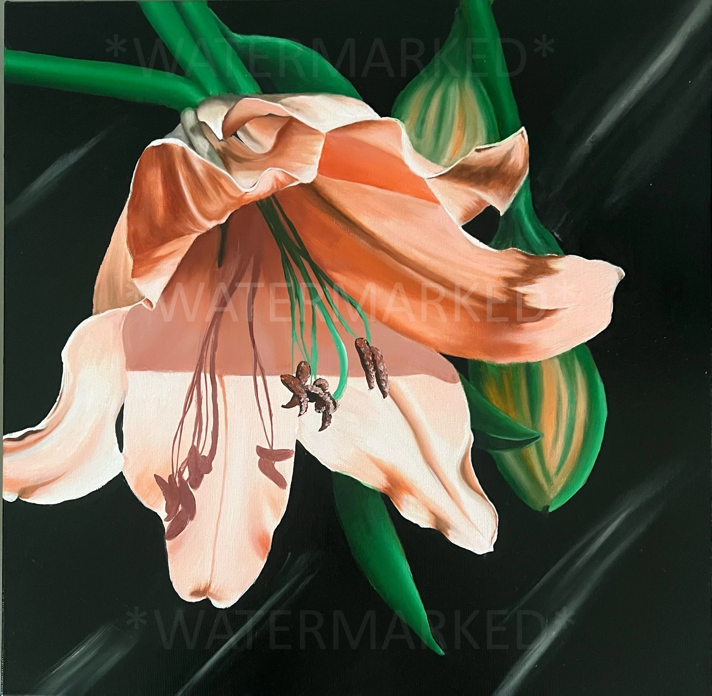 Peach Lily