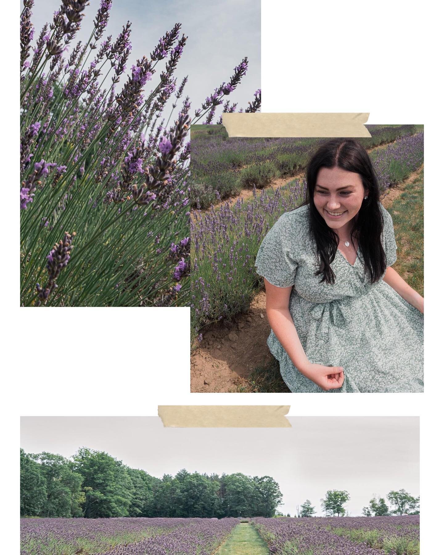 Lavender fields for the win 💜🫶🏽
.
.
.
.
.
#photographer #porthope #alabamaphotographer #ontariocanada #lavenderfields #atlantaPhotographer #lavender #westpointga