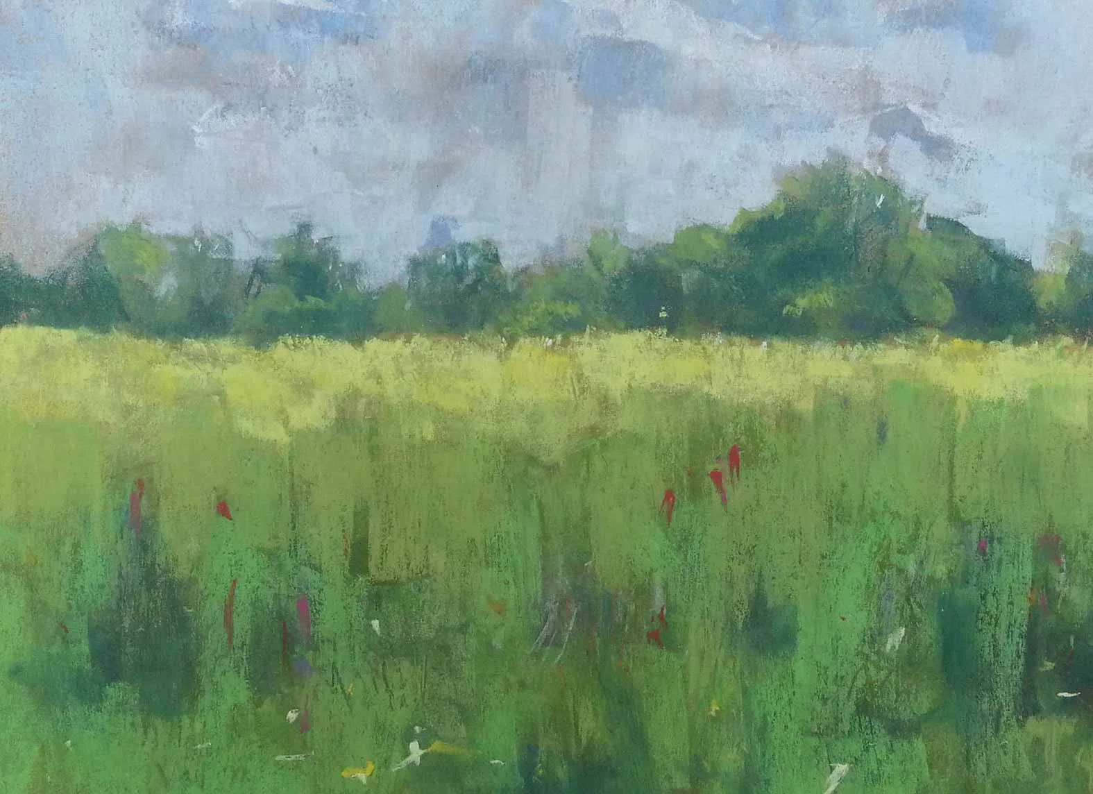 Leicestershire field