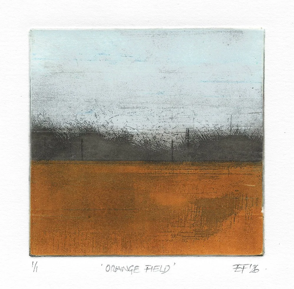 Orange field_Emma_fitzpatrick_b.jpg