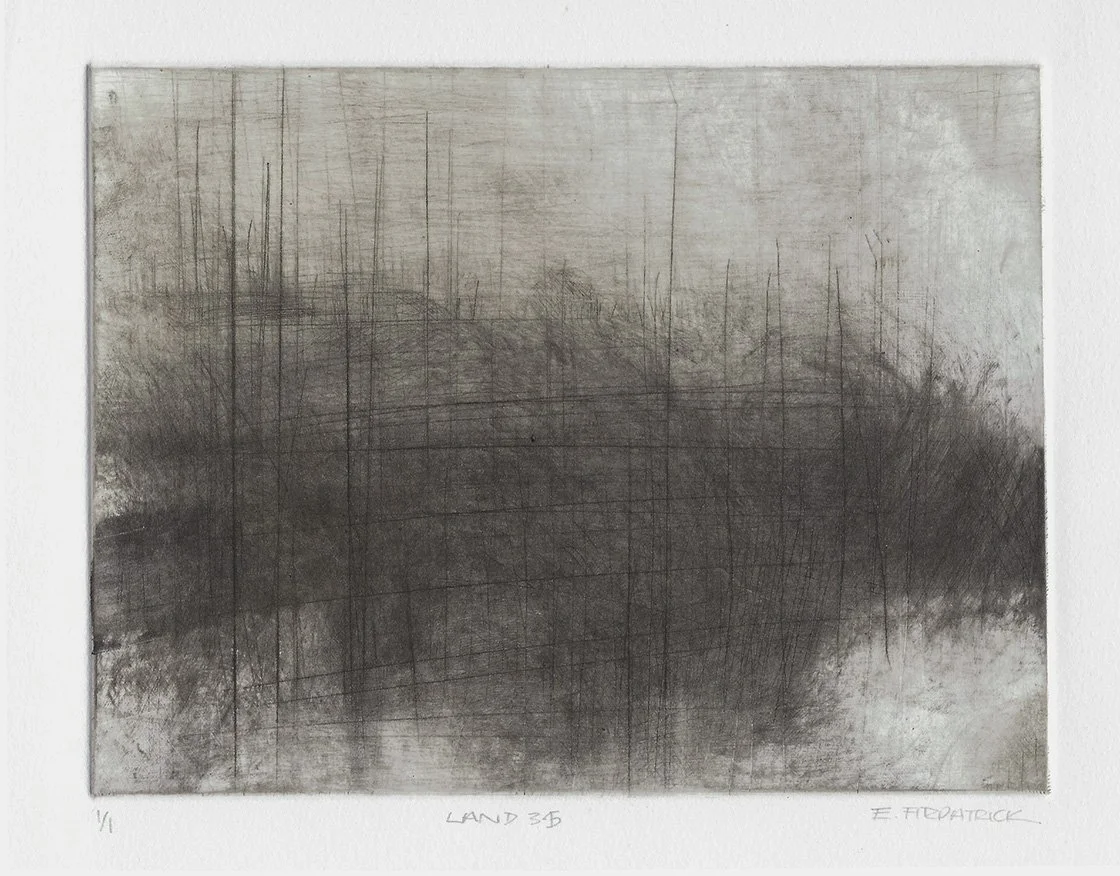 land 35_e_fitzpatrick_uncrop.jpg