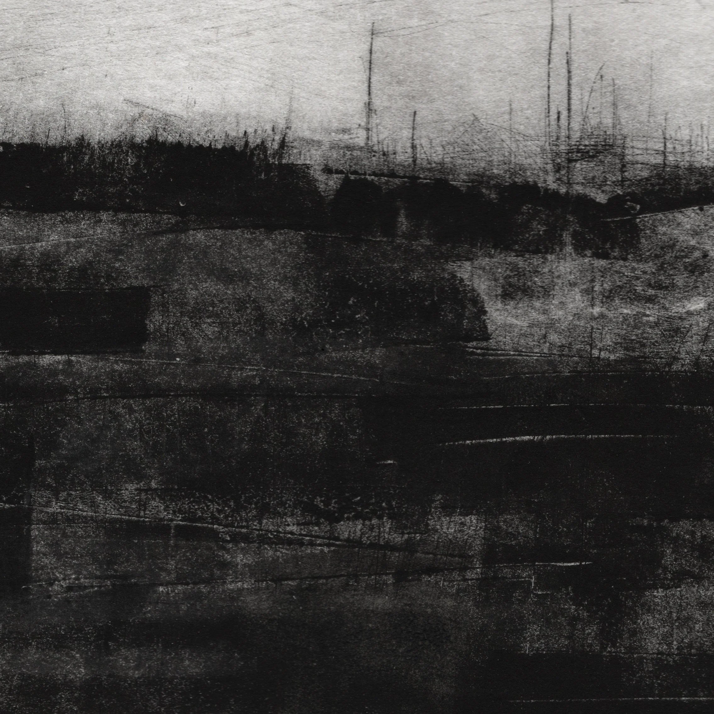 grey fields_emma_fitzptrick.jpg