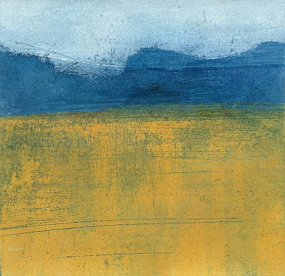 yellow field_emma_fitzpatrick.jpg