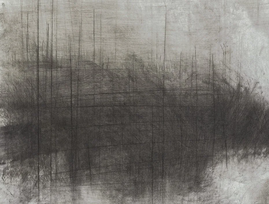 land 35_e_fitzpatrick_crop.jpg