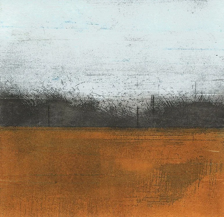 Orange field_Emma_fitzpatrick.jpg
