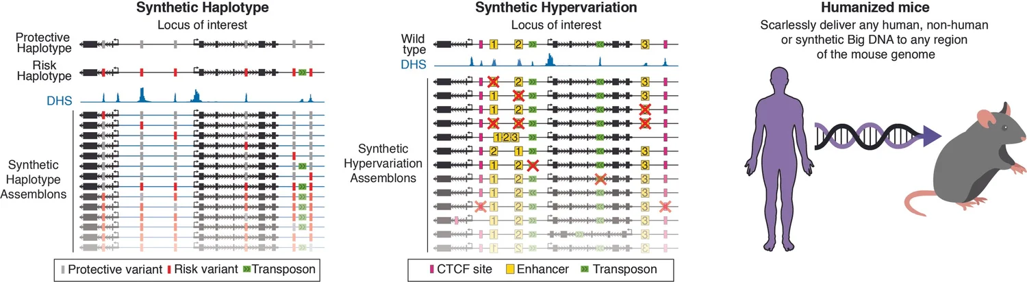 2026 Genome Writing Workshop — The Dark Matter Project