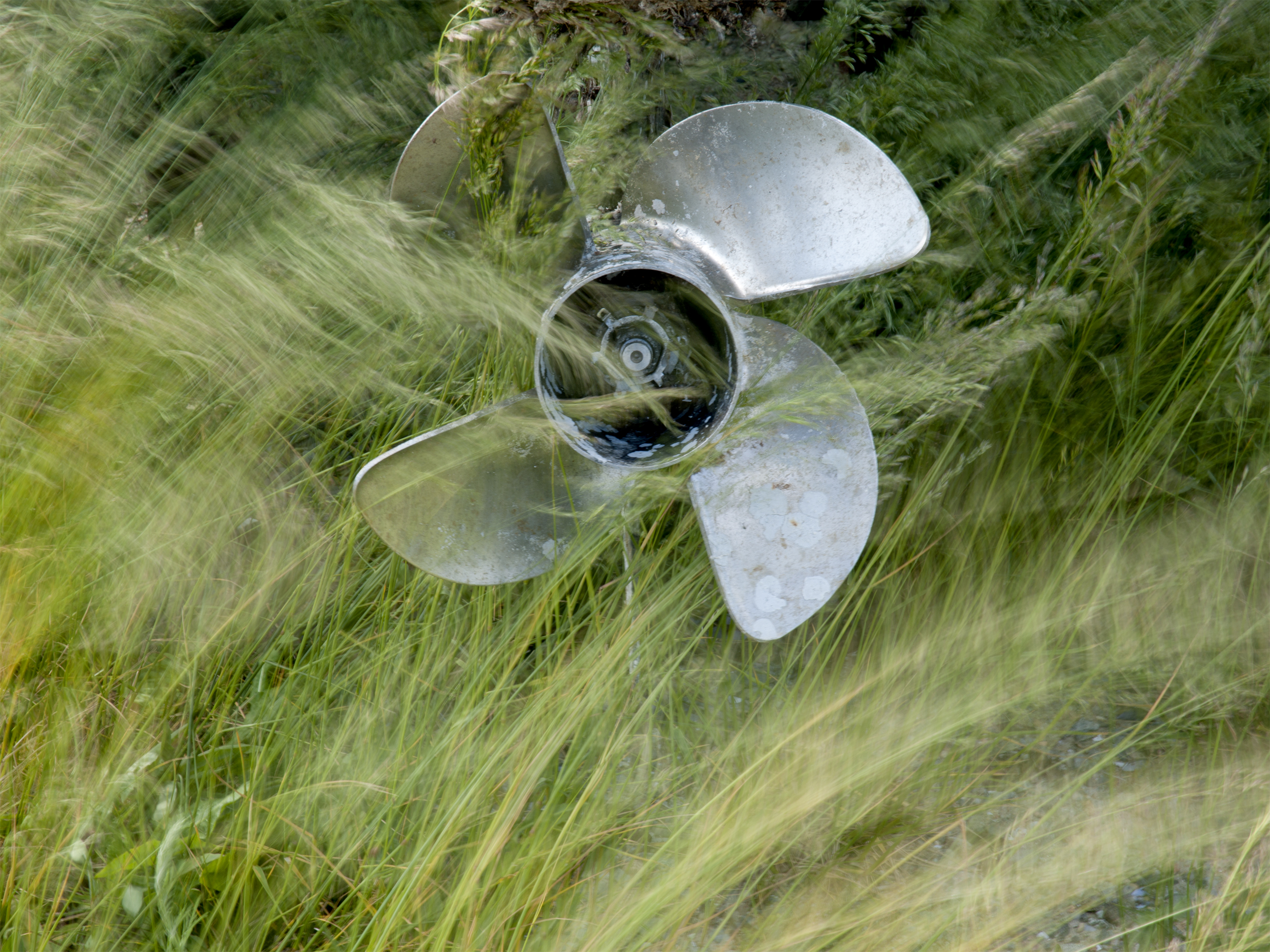 Propeller and grass web.jpg