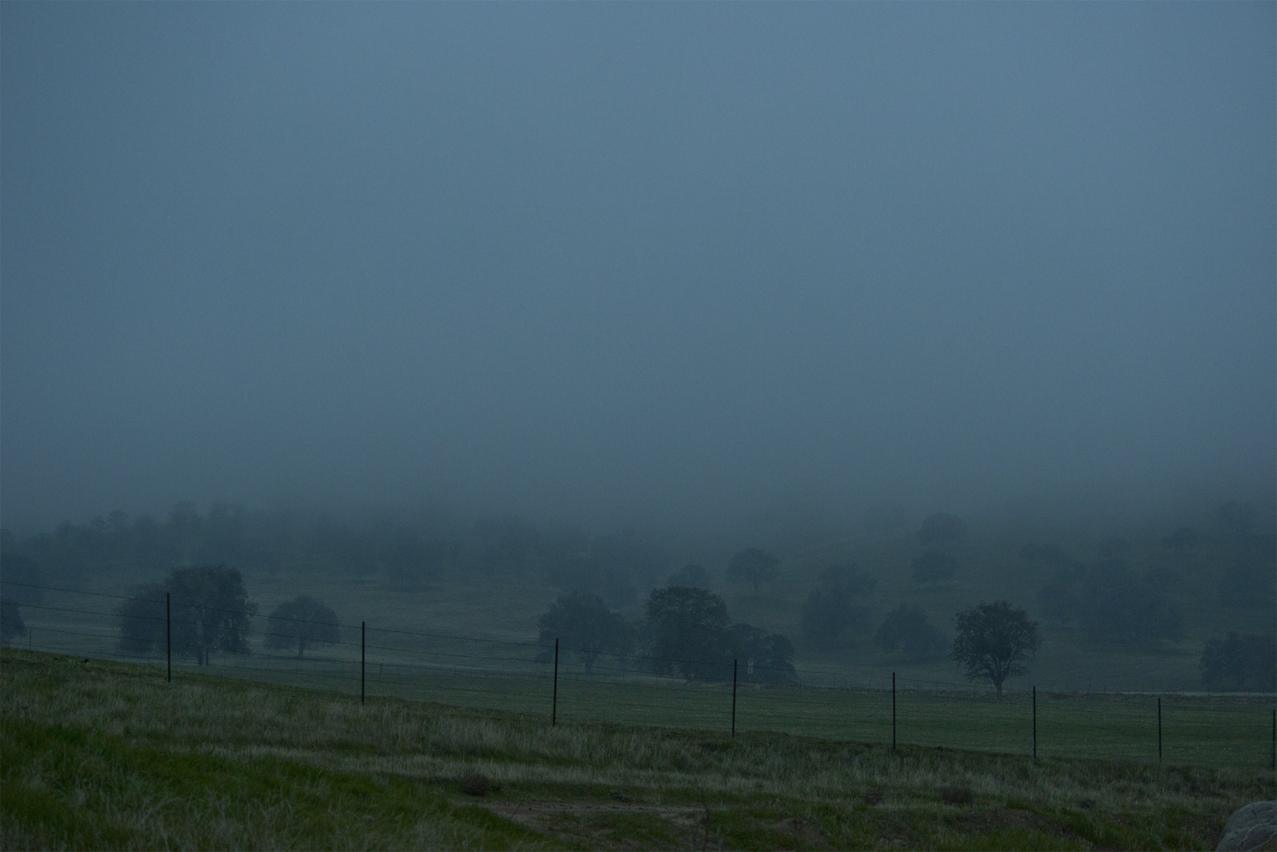 rolling hills and fog, tehatchapi web.jpg