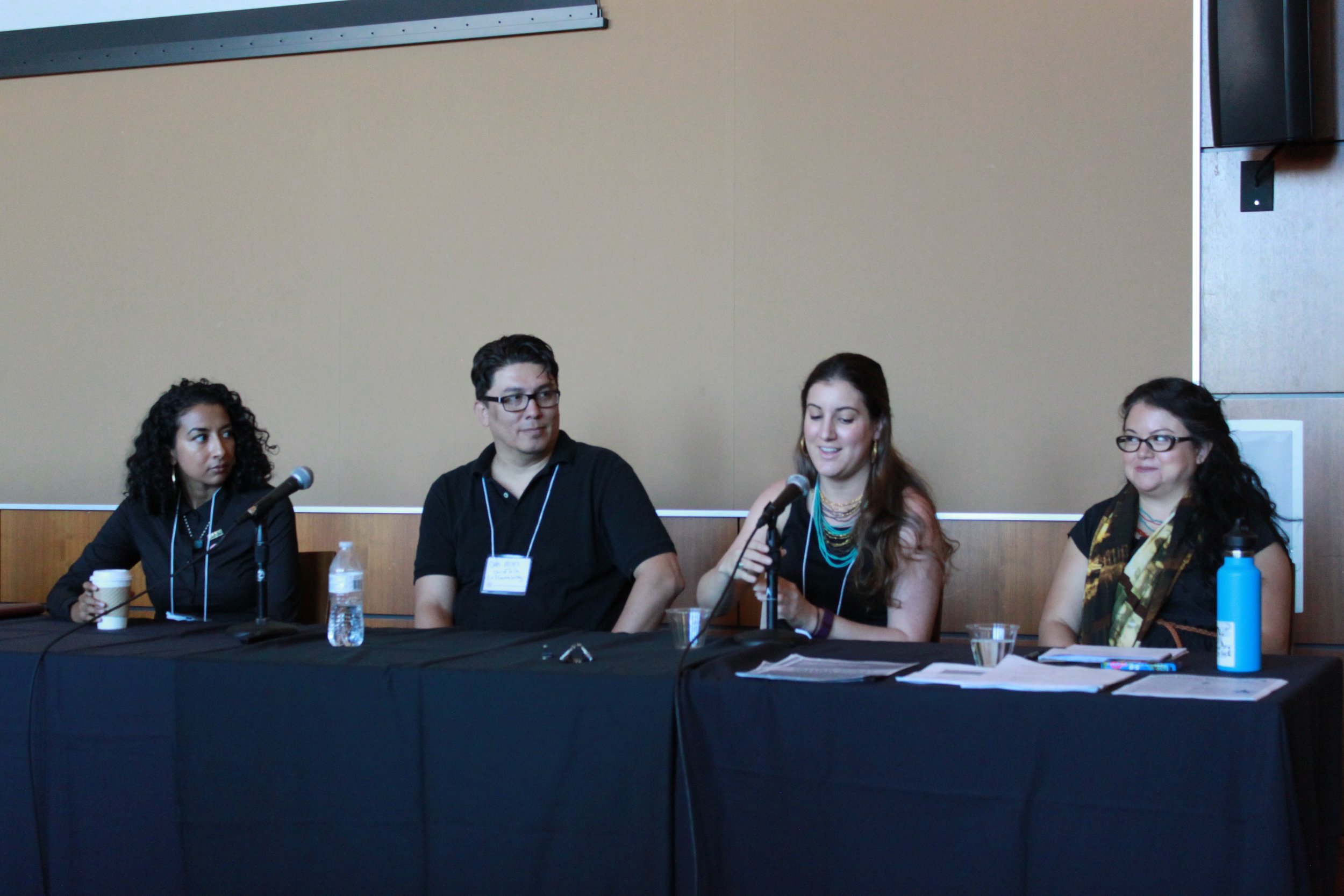 Mentorship: Part of a Mellon Mays Regional Conference Panel on Life as a Ph.D. Student