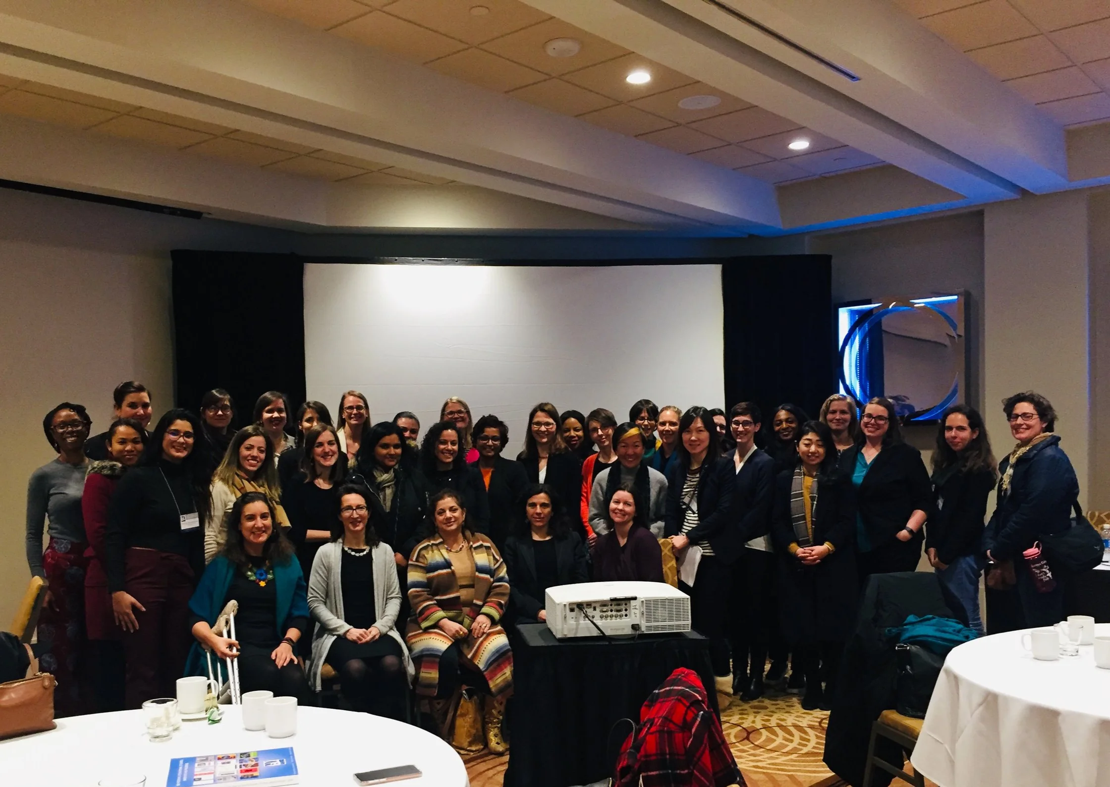 Activity: Selected Participant for the Pay it Forward Women's Mentoring Program