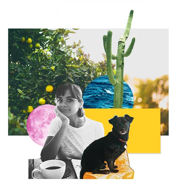 Name: Teresa Castro Origin: California Currently: Tucson, AZ Special Skill: Toast (pushing the lever down, eating it, etc) I have a BA degree in Still Photography and over 12 years of commercial and wedding photography experience. I also have a small black dog that you may or may not meet as he oft prioritizes naps over company. I work out of California and Arizona. e: tc@teresacastro.com | p: (four-zero-eight)595-0043