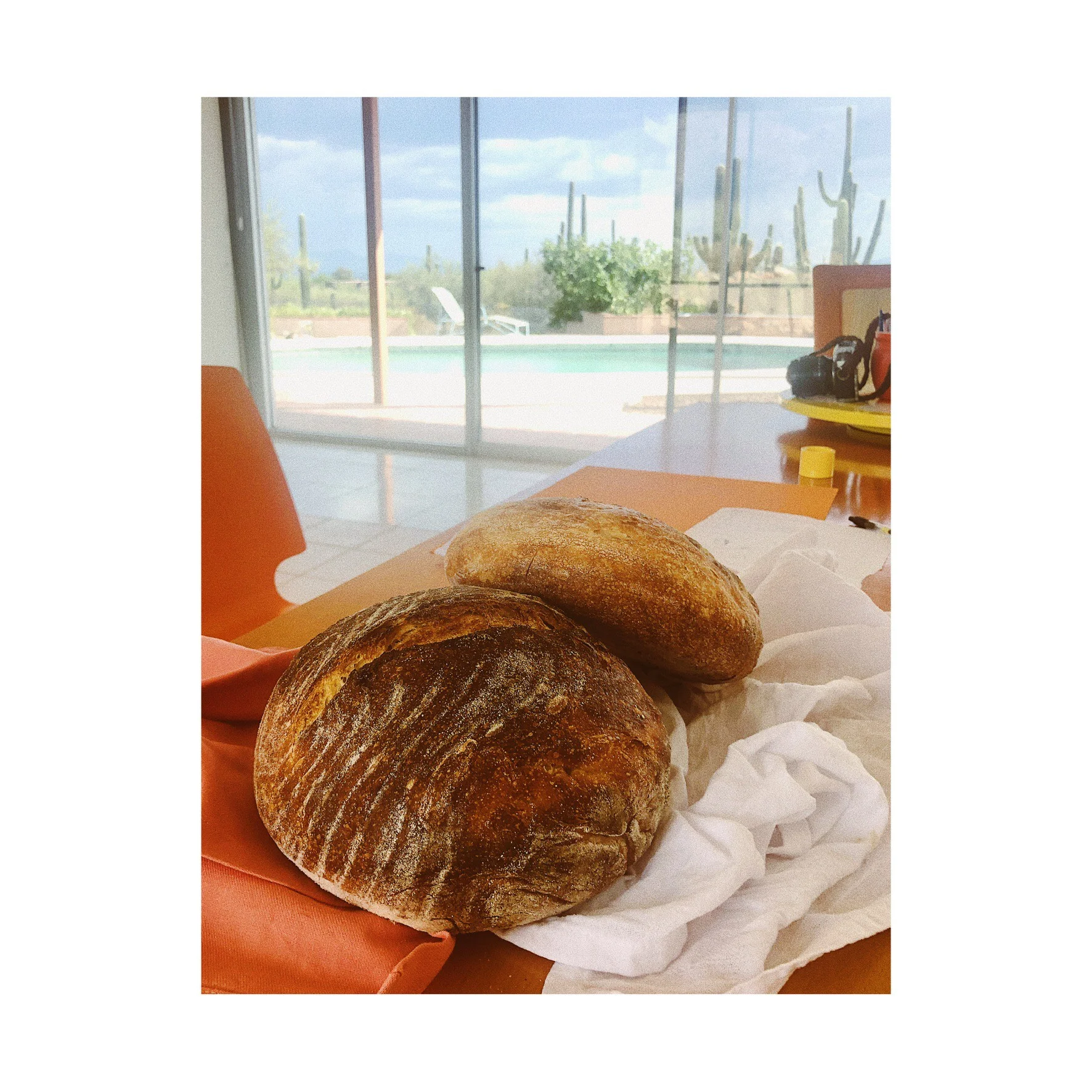 I’ve been experimenting with sourdough since 2016, and have in the process cultivated several starters in different locations. Currently I am working with one I call “Strobe City”, in reference to the magnificent monsoon lightning here in Tucson.You…