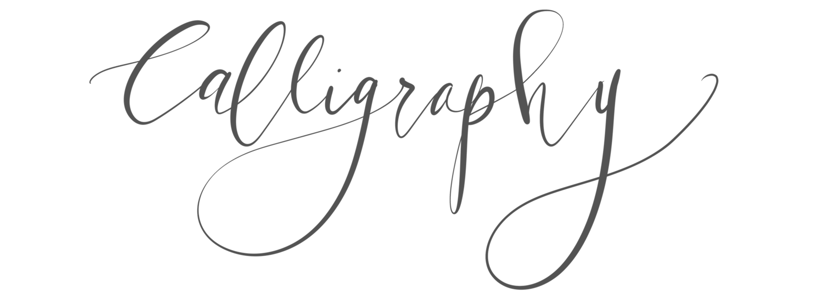 Calligraphy Details The Cardinal Collective