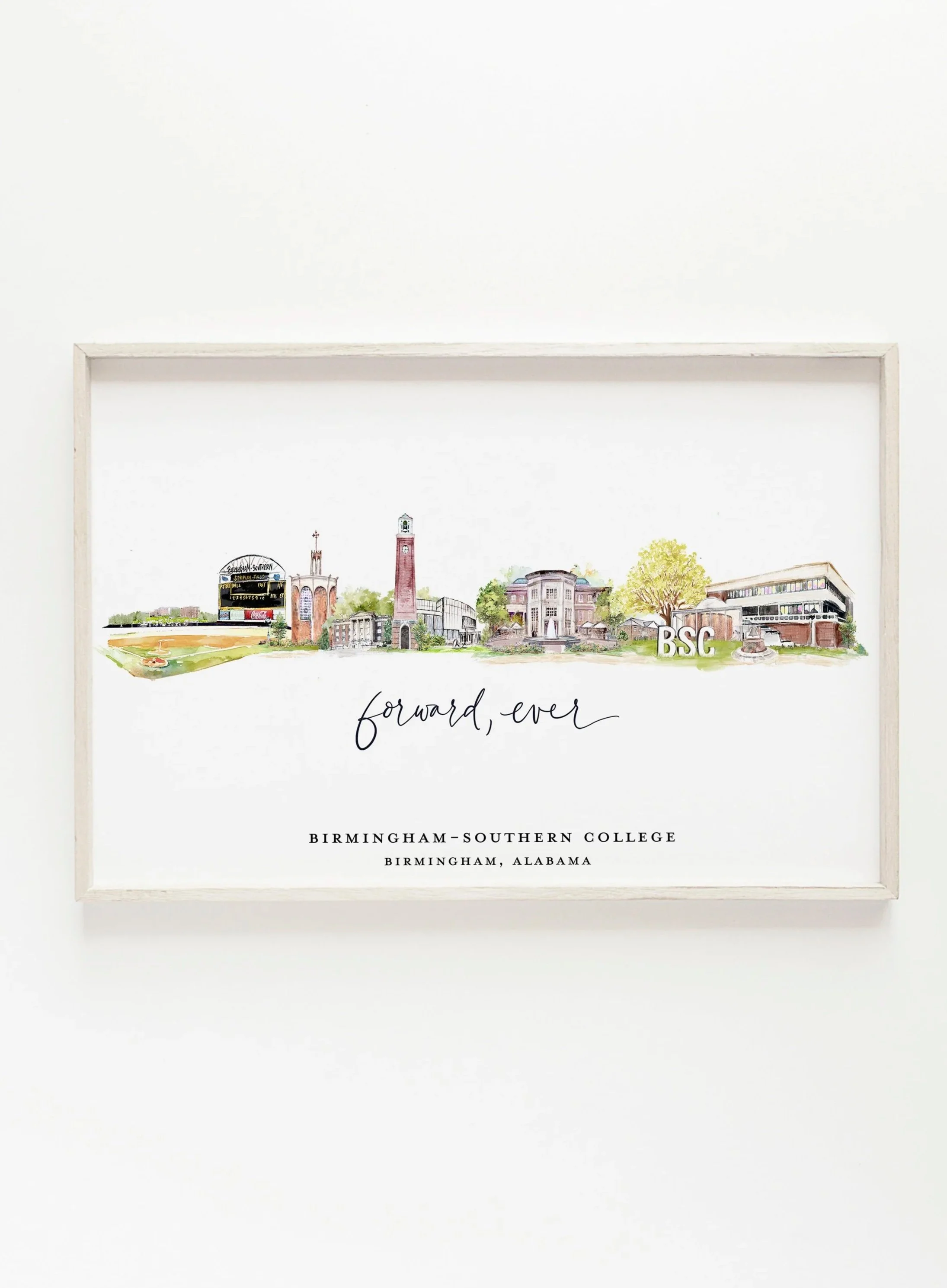 BSC+in+white+frame.jpg