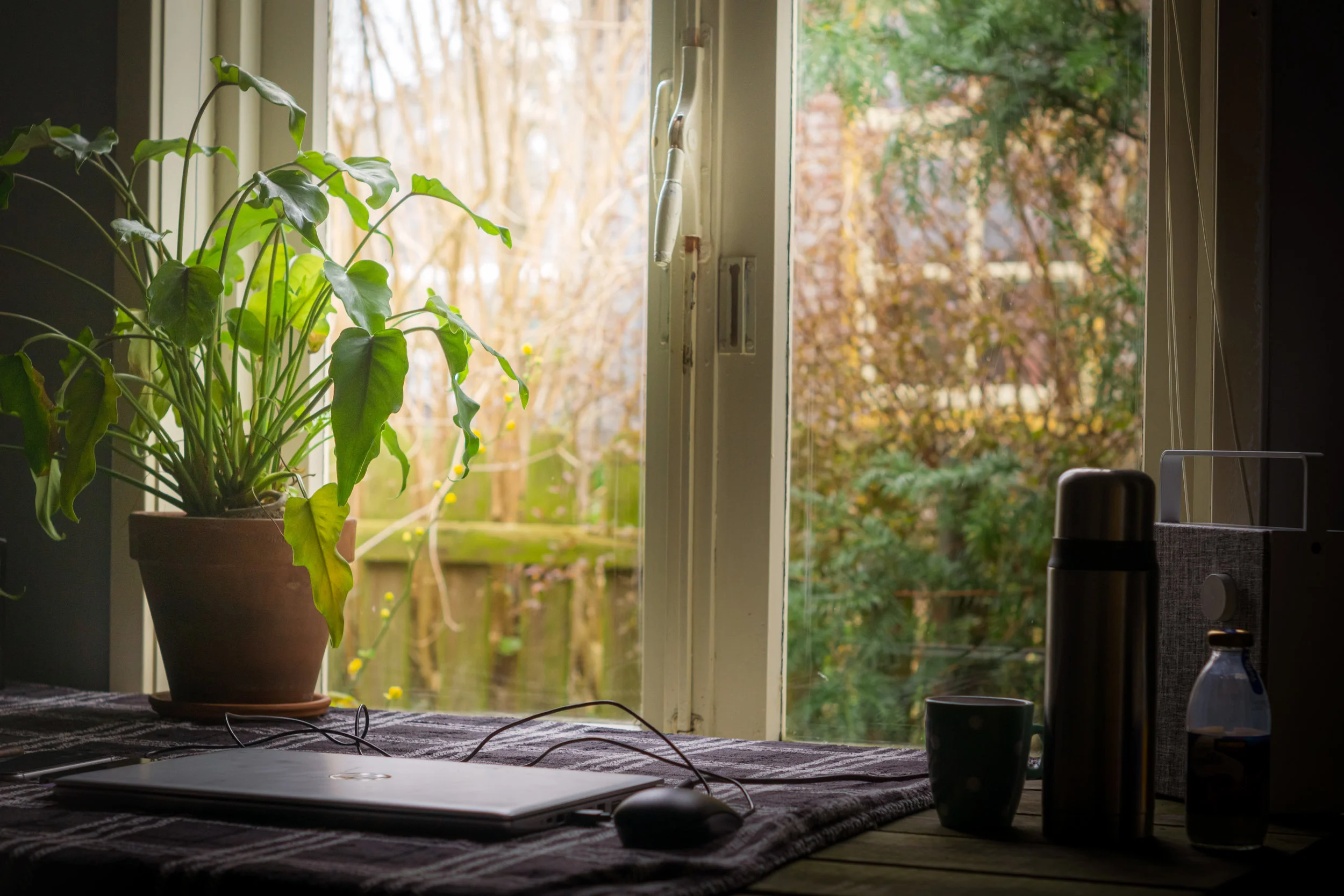 How To Thrive In The Midst Of A Crisis