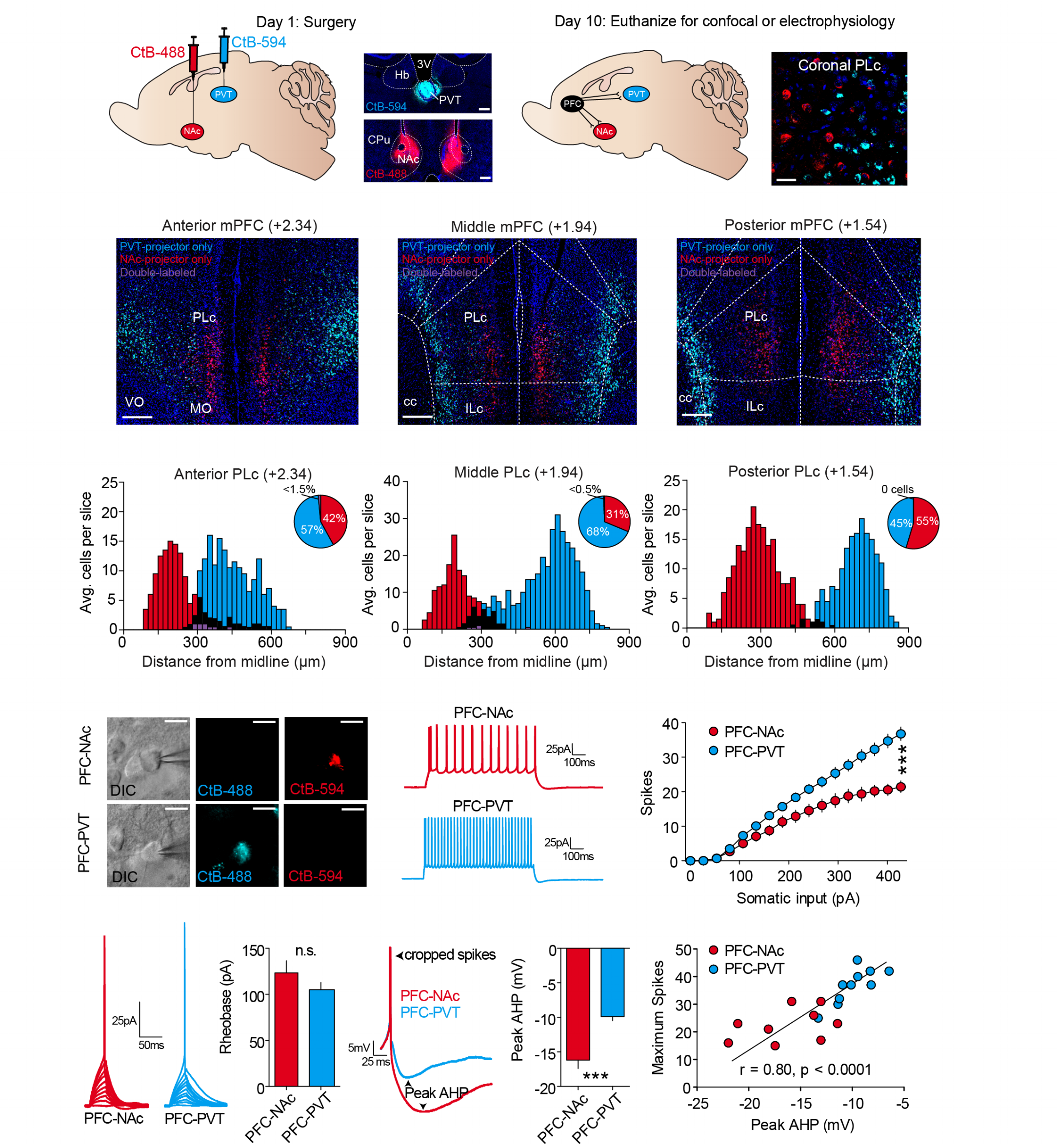 Otis, Namboodiri et al., Extended Data Fig 5.png