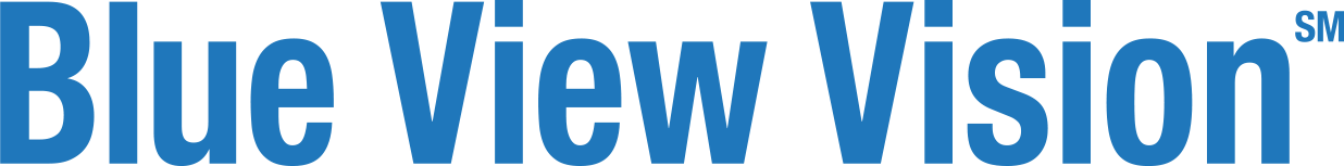 blueviwevision-logo.png