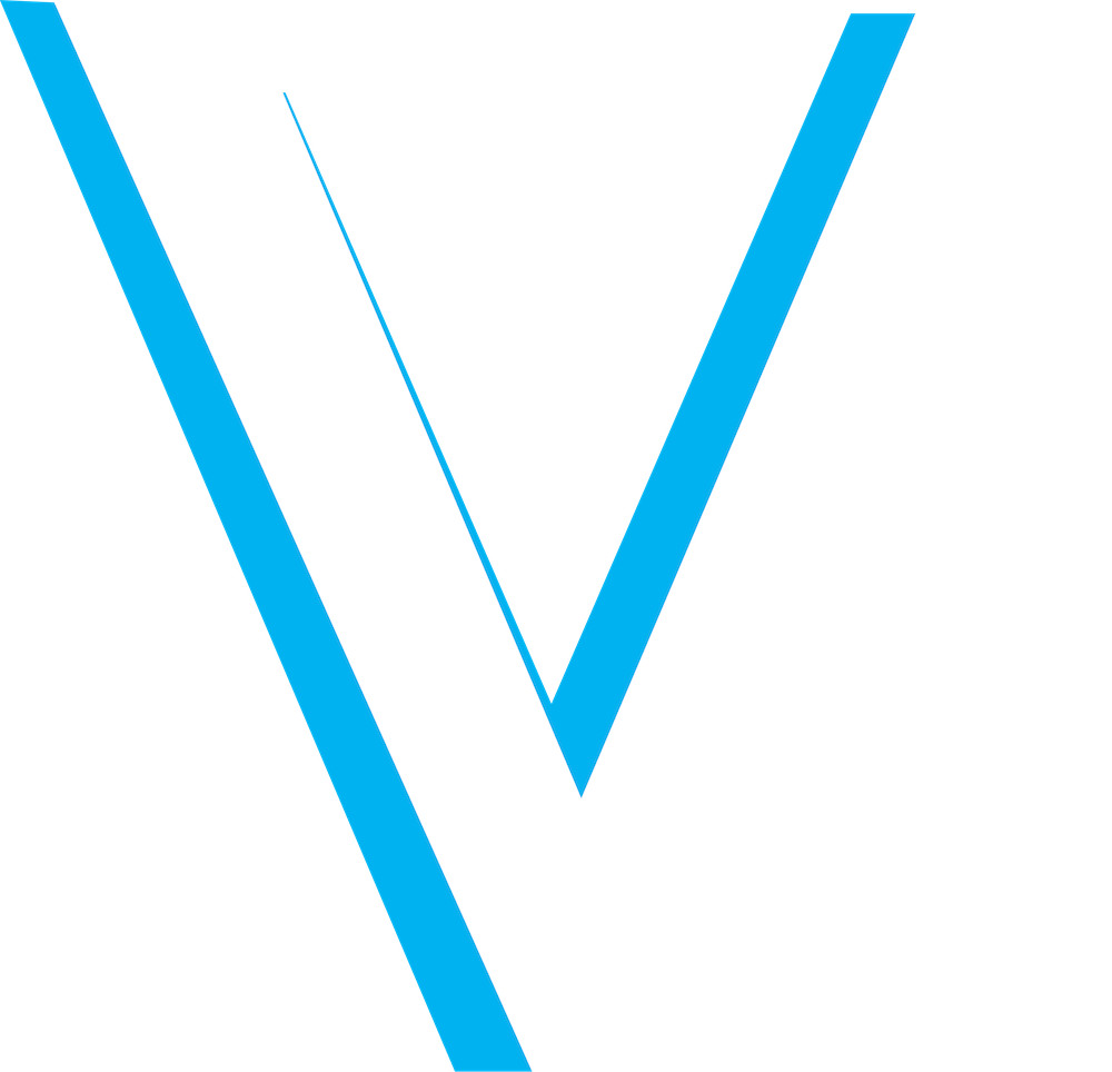 Vibe Volleyball Club