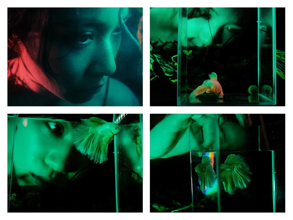 Nature in Glass_1.jpg