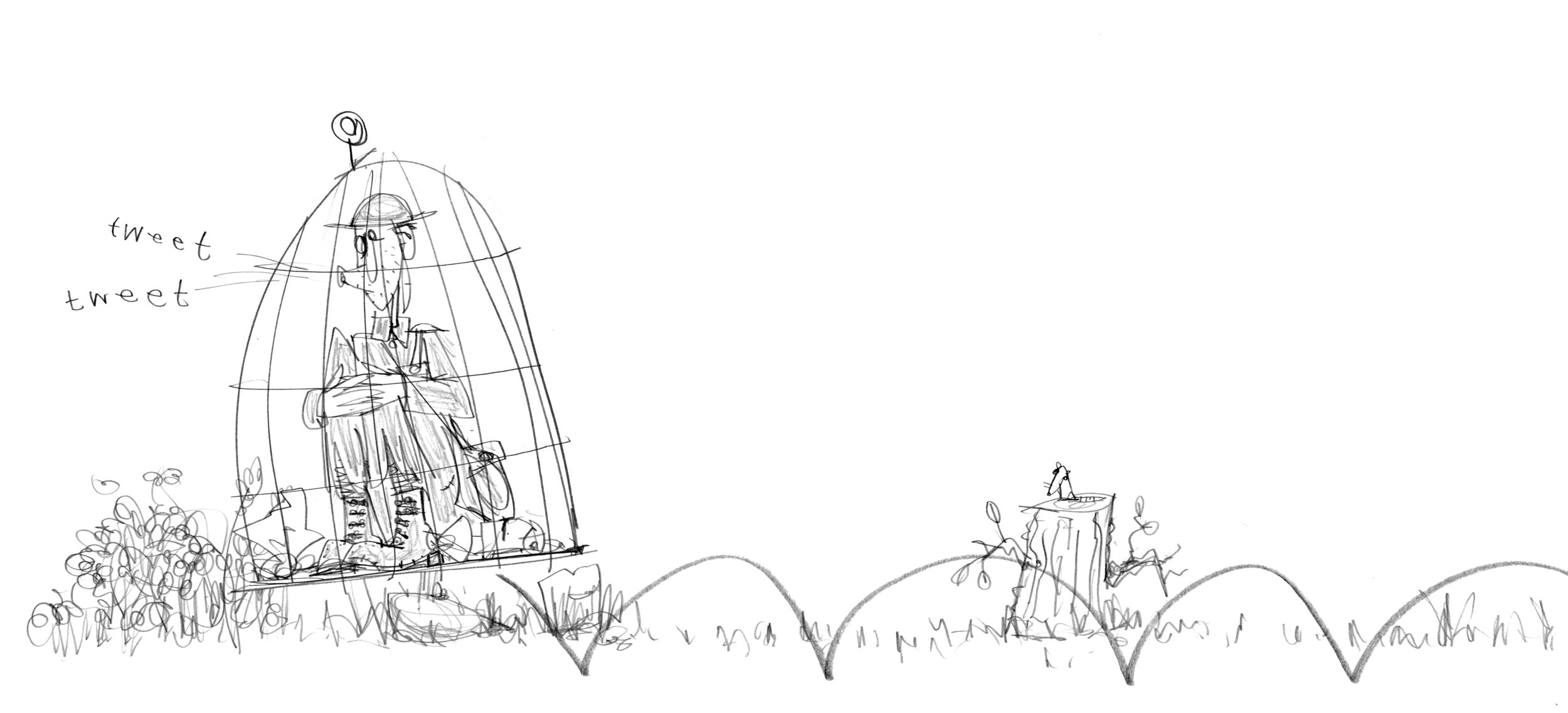 p29. barry fungus2.flatfin.jpg