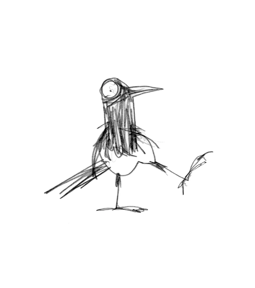 magpie 3.fin.jpg